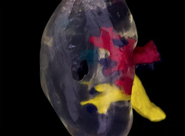 1516775975338024.png 1.png